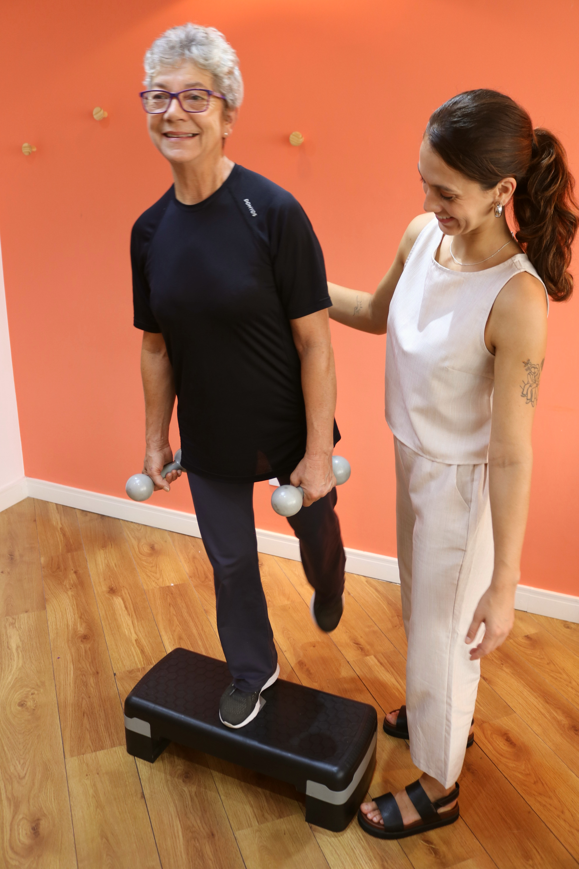 Fisioterapia domiciliar